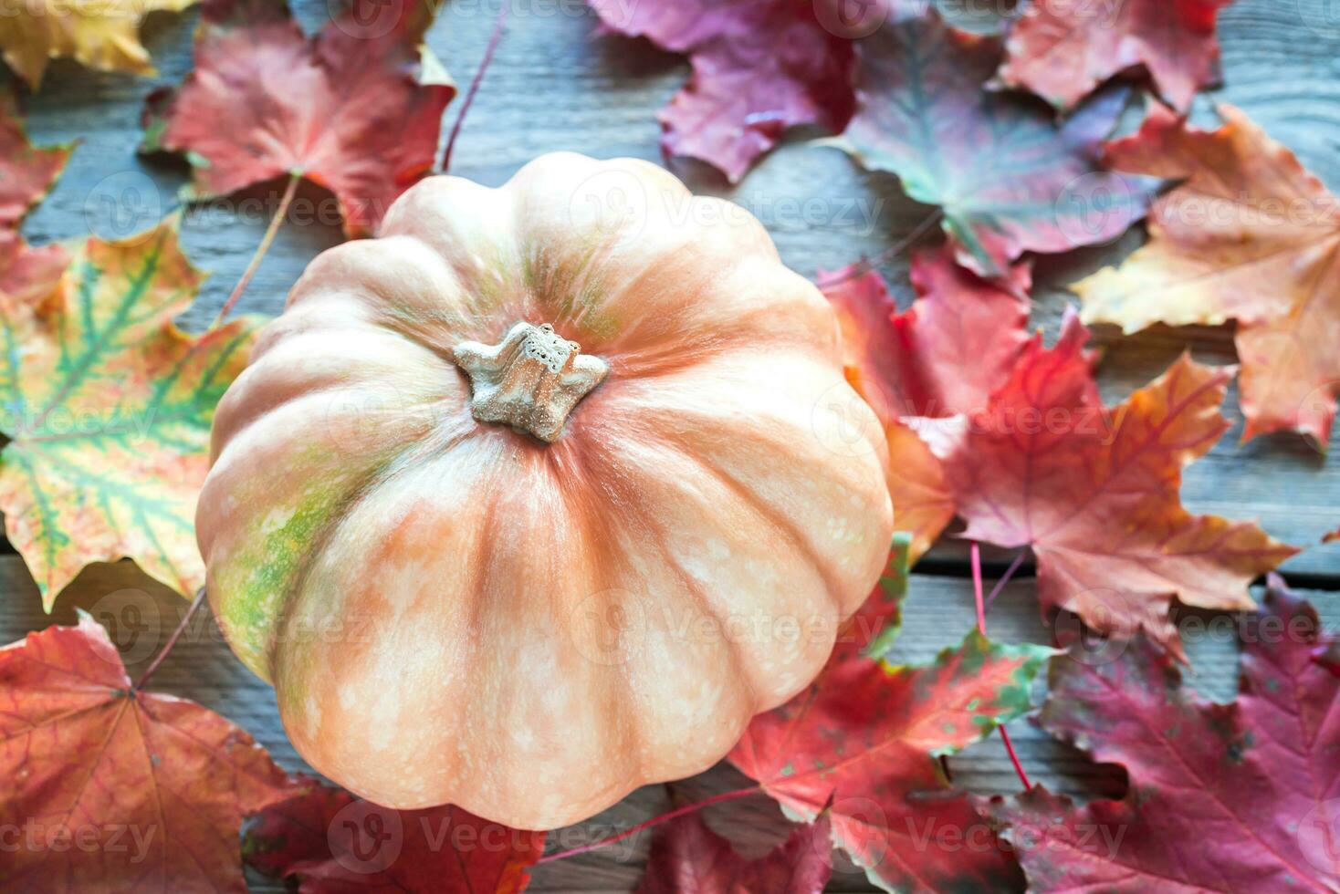 Pumpkin on the wooden background photo