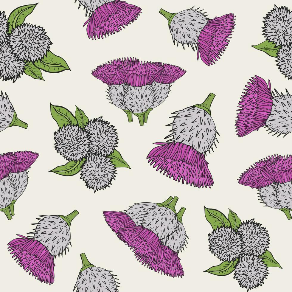 Burdock seamless texture with hand drawn buds. Colorful vector illustration pattern.