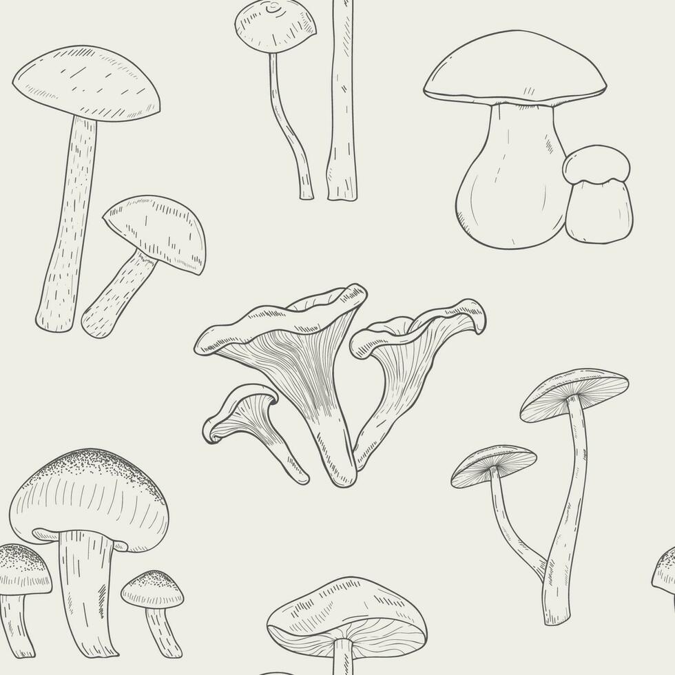 Different mushrooms outline seamless pattern. Hand drawn fungi. Armillaria, blewits, boletus, chanterelle. Black and white vector illustration pattern.