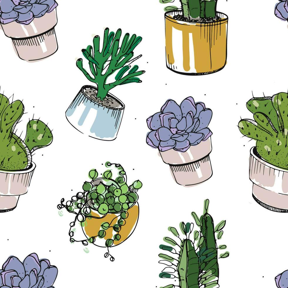 Seamless pattern with hand drawn succulents and cactus in pots. Colorful vector illustration on white background.