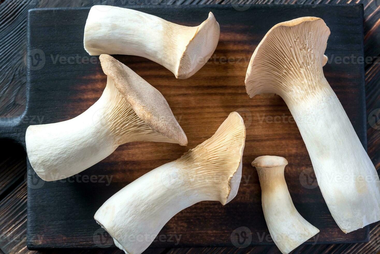 King oyster mushrooms photo