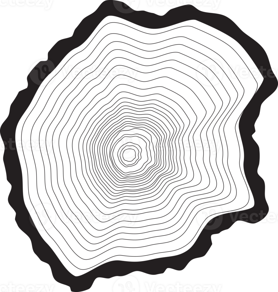 Tree rings background. png