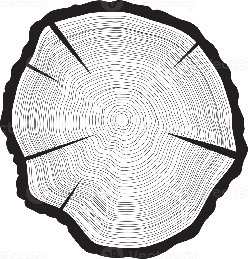 Tree rings background. png