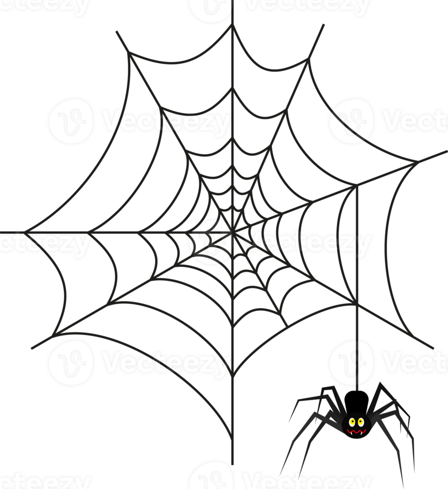 Halloween spider on web png
