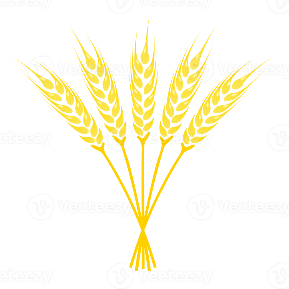 Ears of Wheat icon png