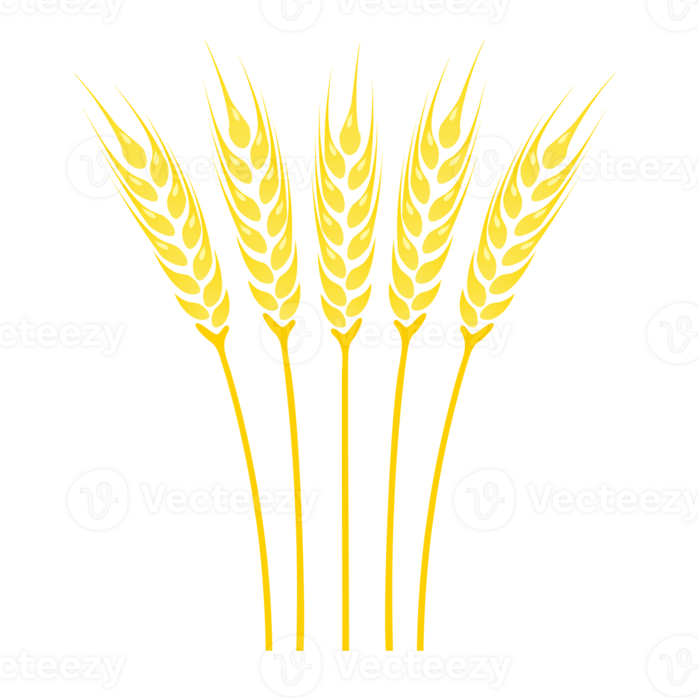 Ears of Wheat icon png