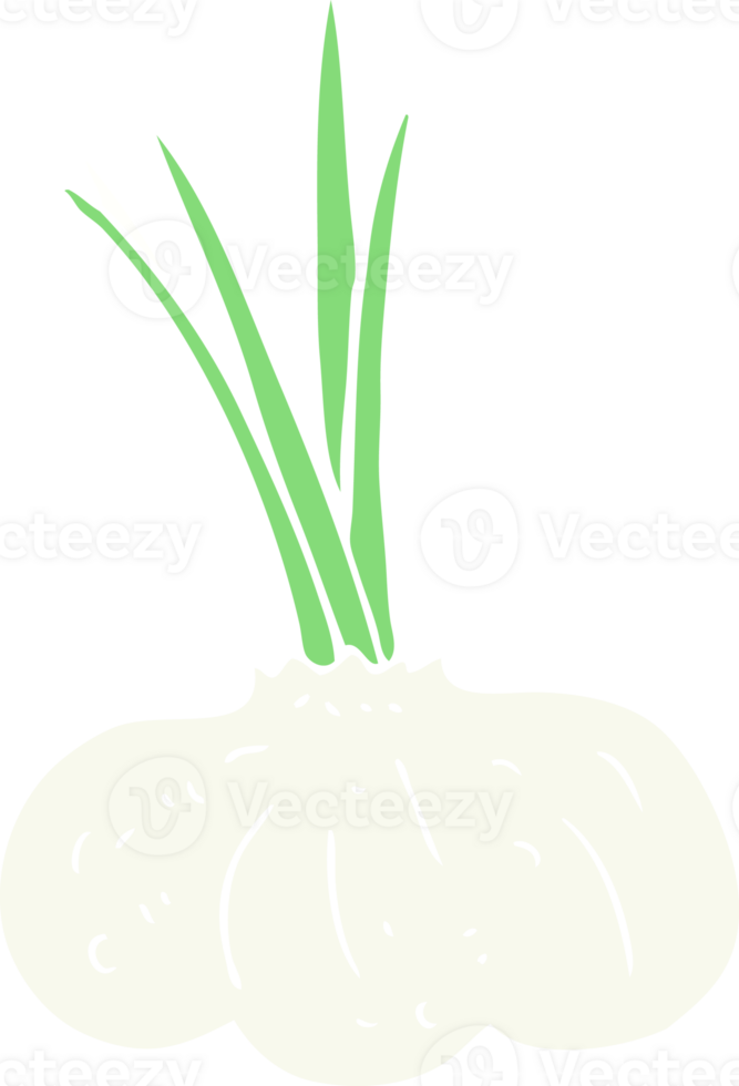 flat color illustration of garlic bulb png