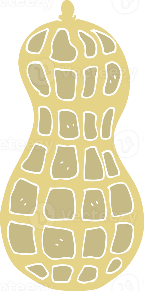 flat color illustration of a cartoon peanut png