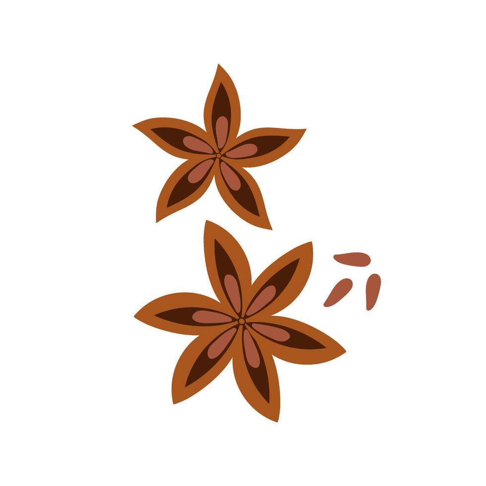 Star anise. illustration of aromatic spice in flat style on white background. vector