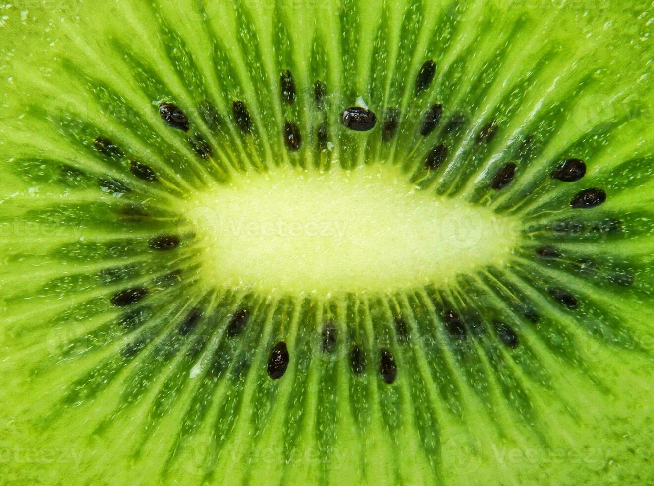 kiwi background details photo