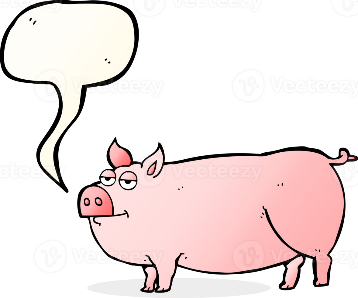 speech bubble cartoon huge pig png