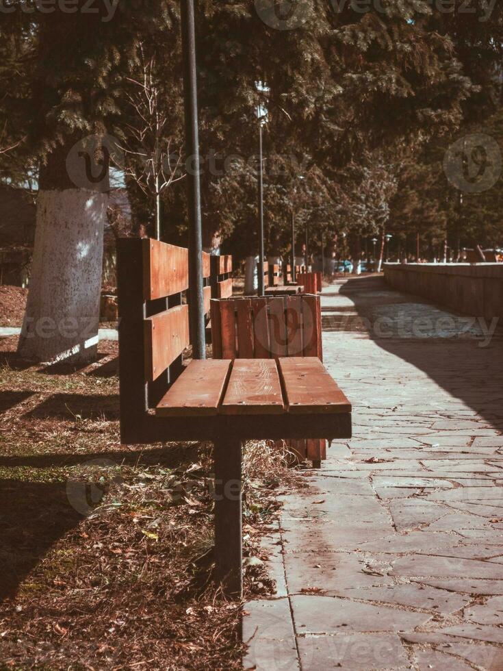 Closeup of the autumn bench in park photo