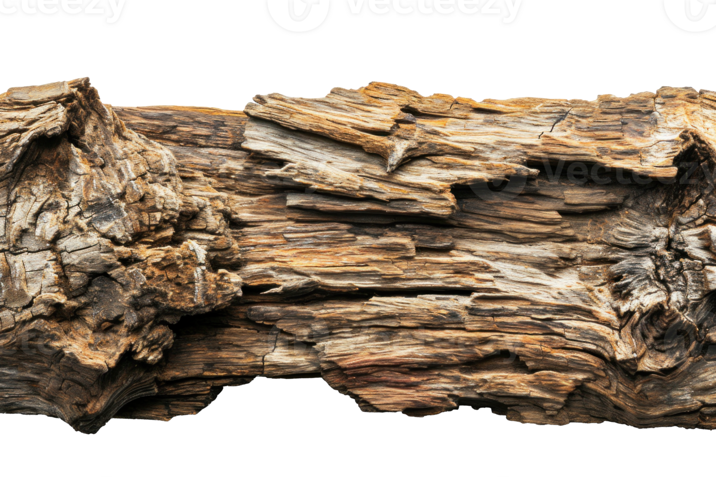 AI generated Textured Rough Wood Detail Isolated png