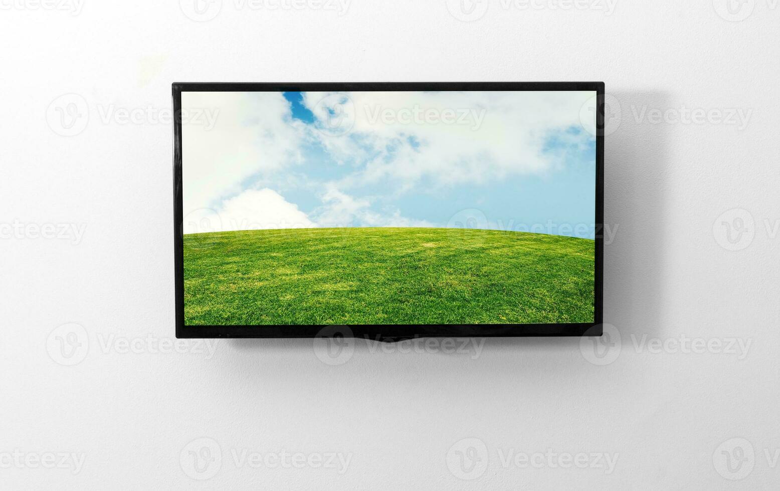 TV monitor on the wall photo