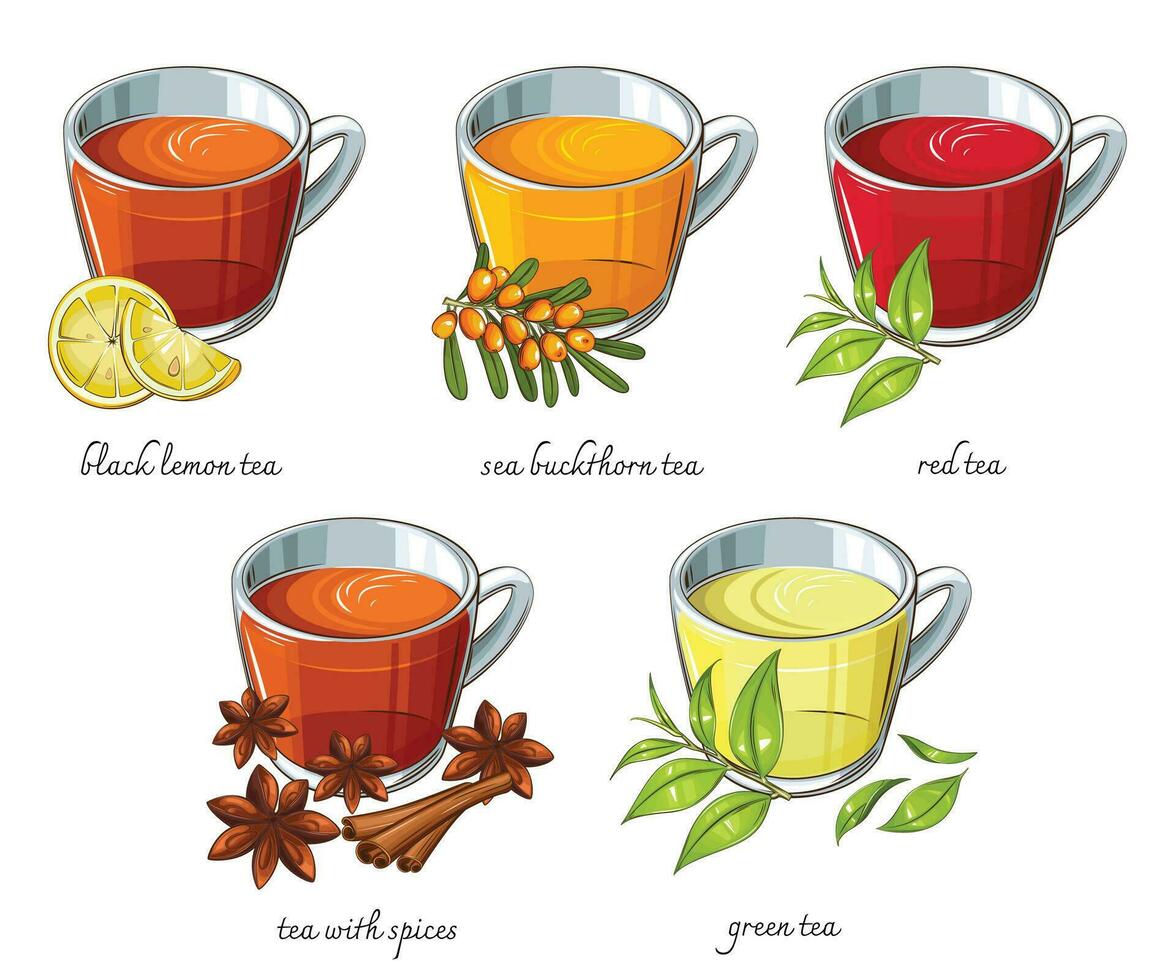 té recopilación, diferente tazas de té, negro rojo verde té. té realista ilustración. Perfecto para té comercio, café bandera vector