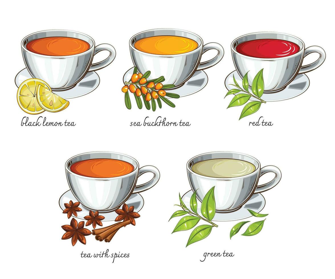 té recopilación, diferente tazas de té, negro rojo verde té. té realista ilustración. Perfecto para té comercio, café bandera vector