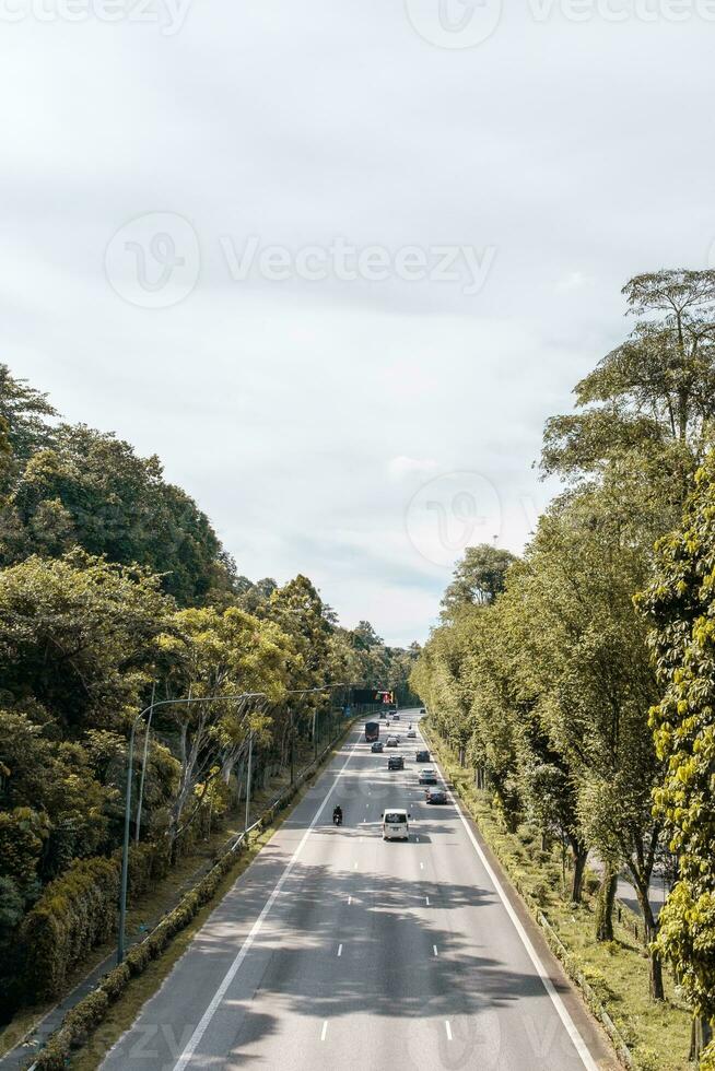 Highway Lined with Beautiful Trees photo