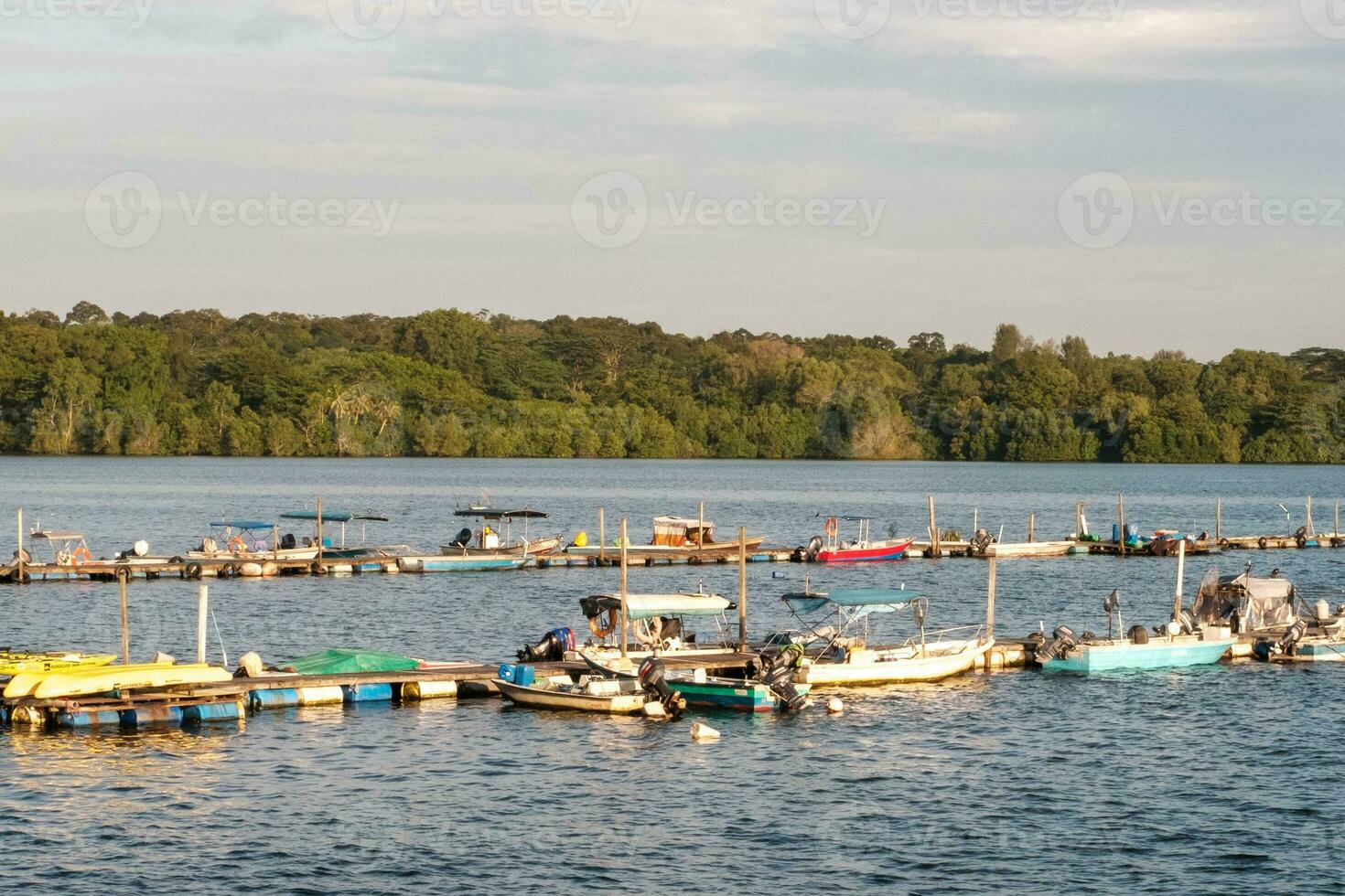 Orderly River Boats Near Kampung photo