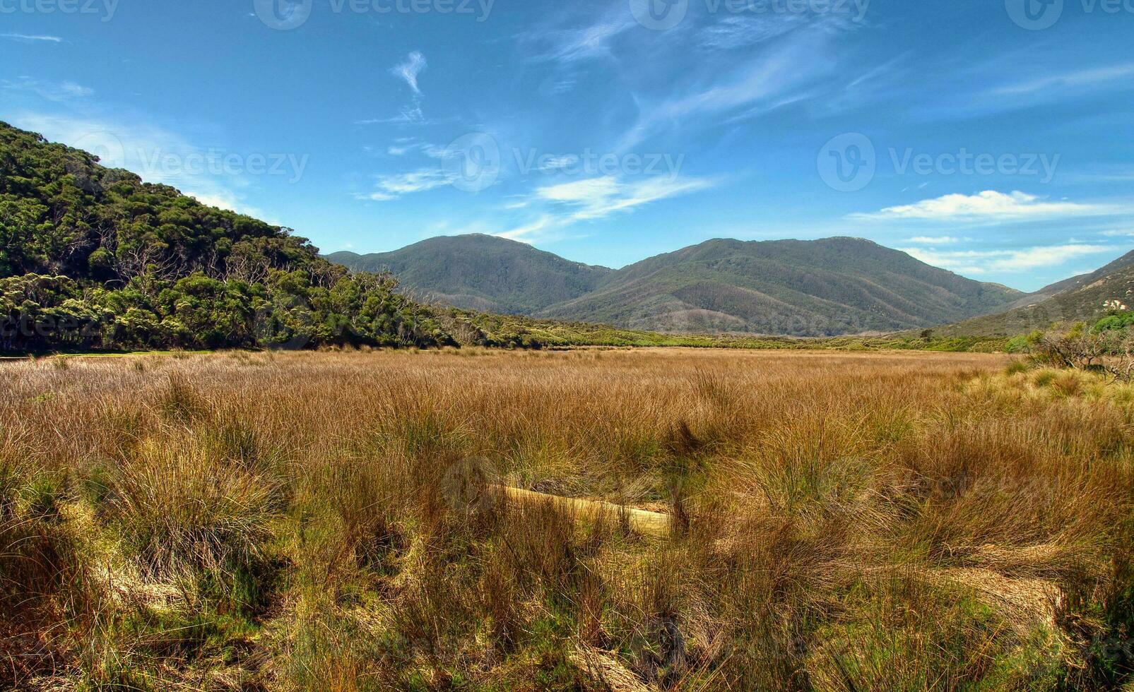 australian outback view photo