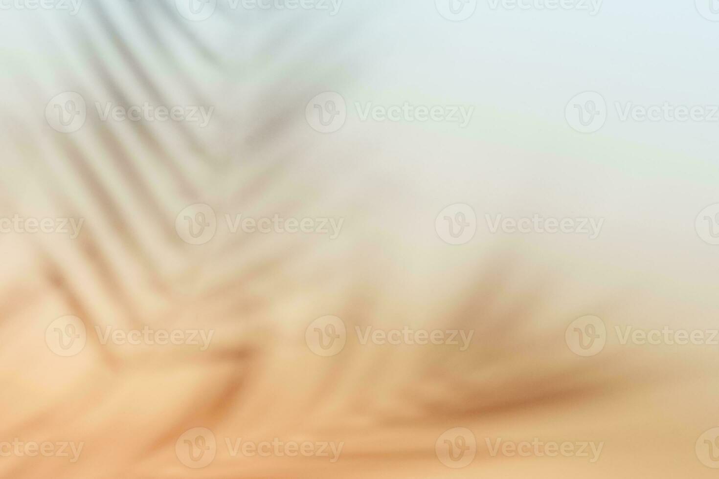 Natural palm leaves shadow on gradient paper background. Abstract peach and blue tropical backdrop. Soft light photo