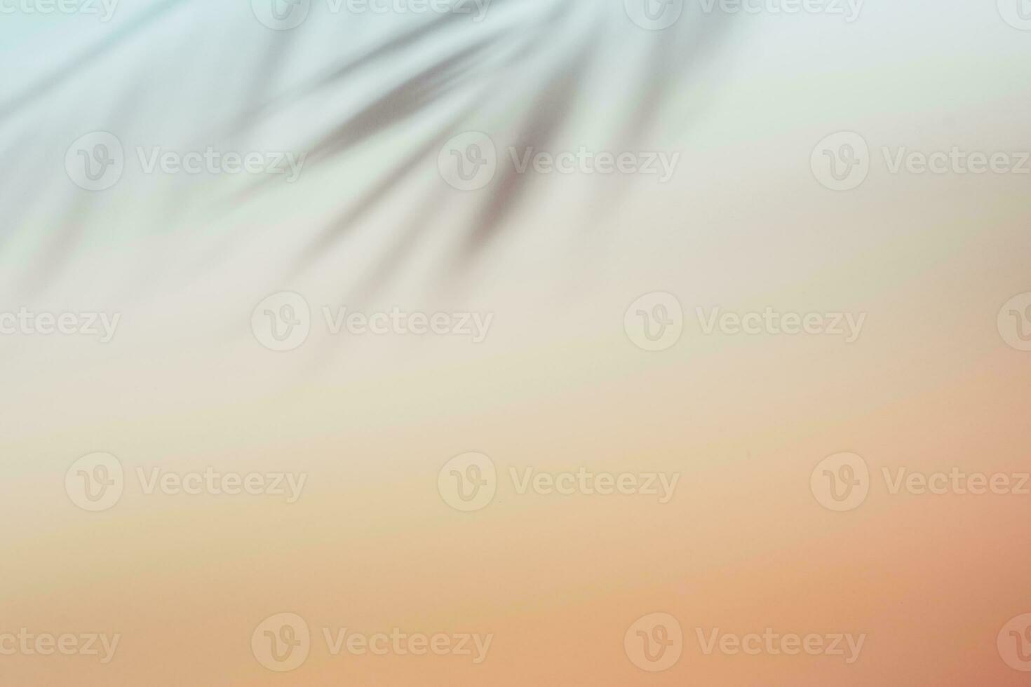 Natural palm leaves shadow on gradient paper background. Abstract pink tropical backdrop. Soft light photo