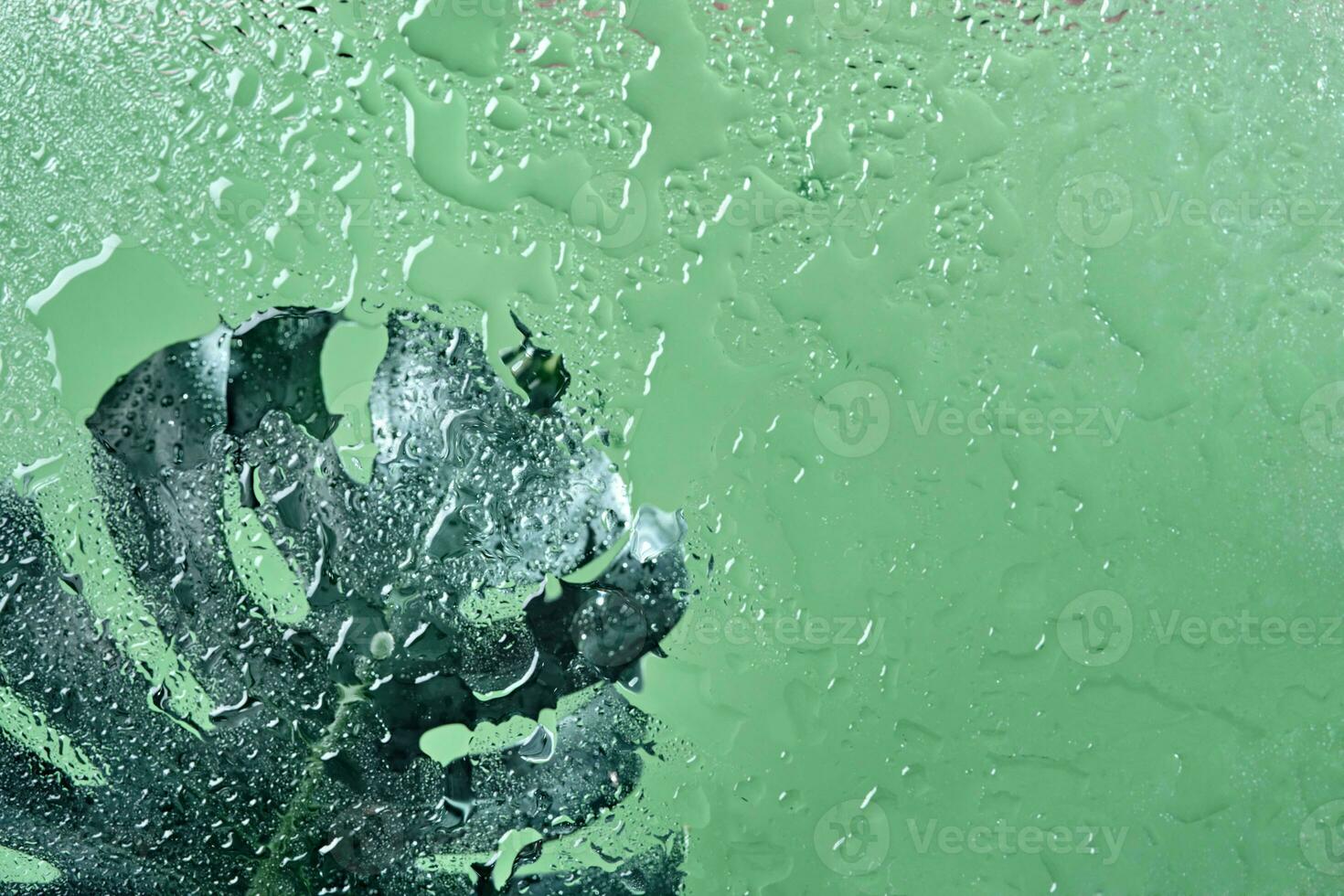 Green wet background with water drops on glass and monstera leaf through glass. Green water texture background photo
