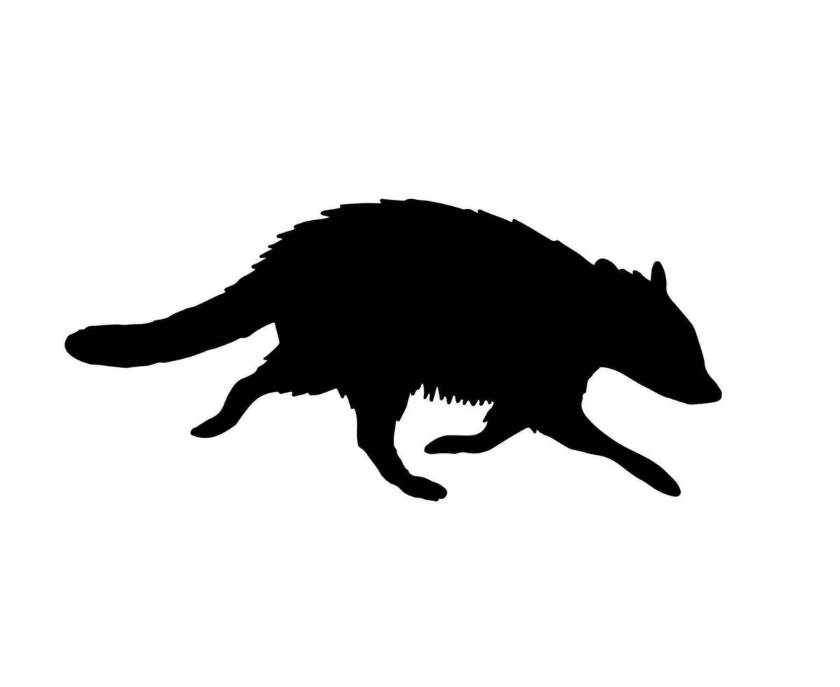 Vector hand drawn raccoon silhouette