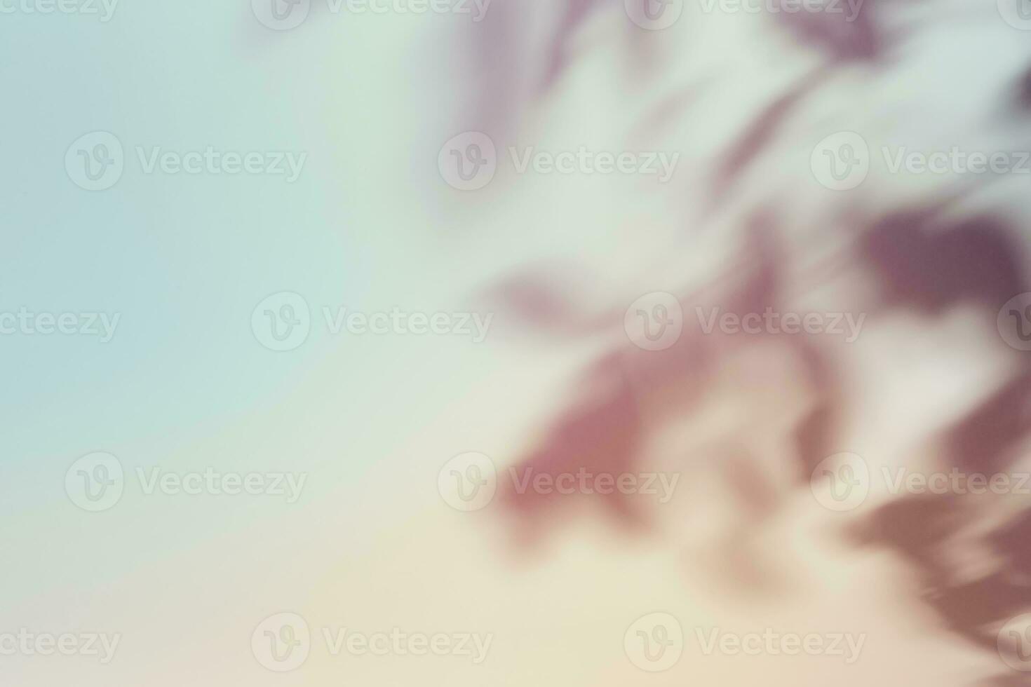 Natural foliage shadow on gradient paper background. Abstract pastel floral backdrop. Soft light photo