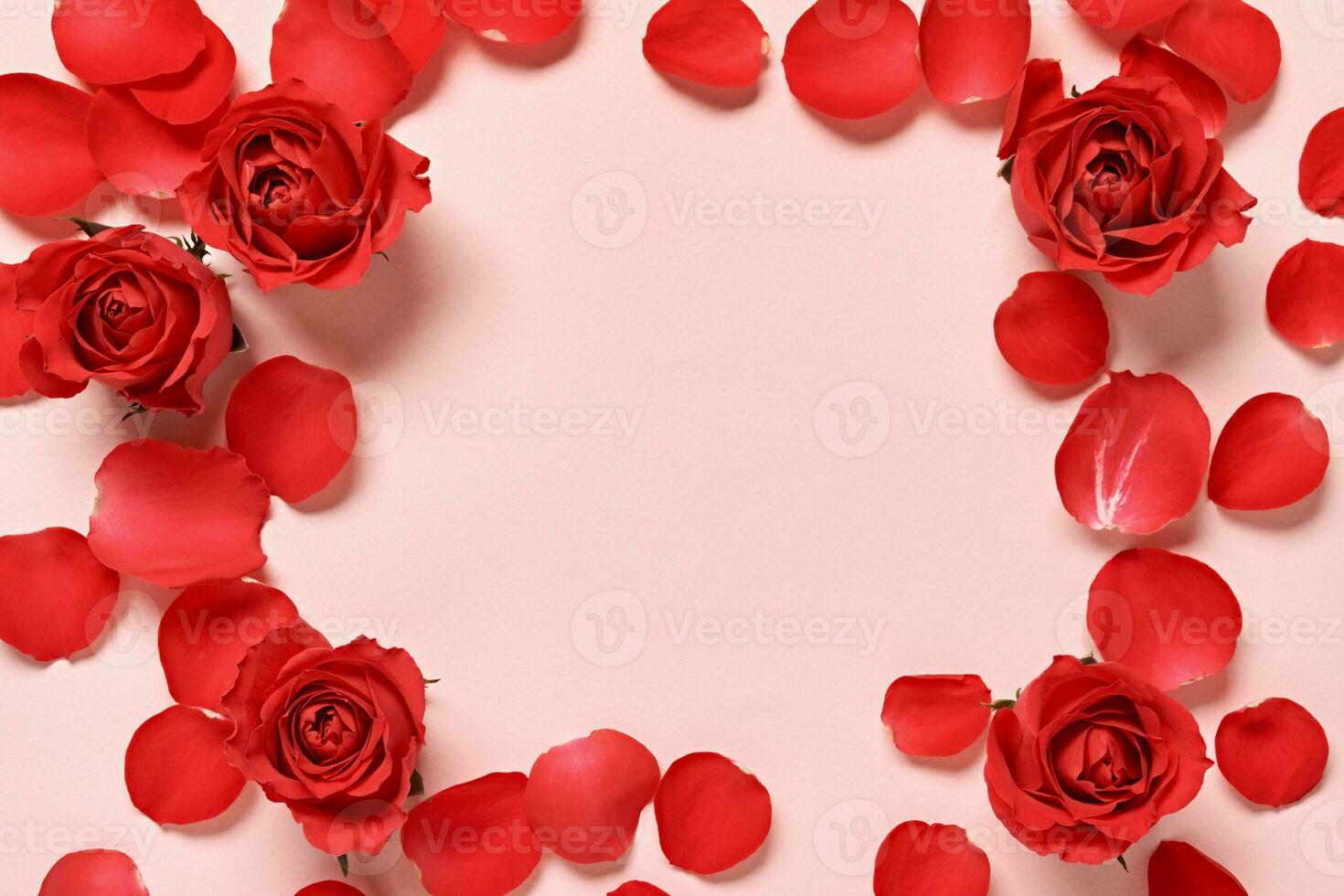 Beautiful floral frame of red rose buds and petals on pink background photo