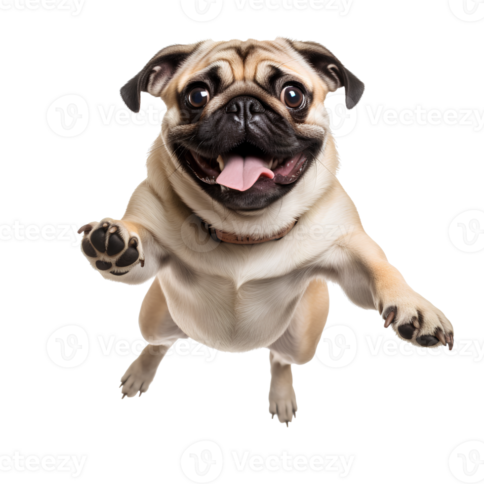 AI generated Cute and happy dog on transparent background PNG, easy to use. png