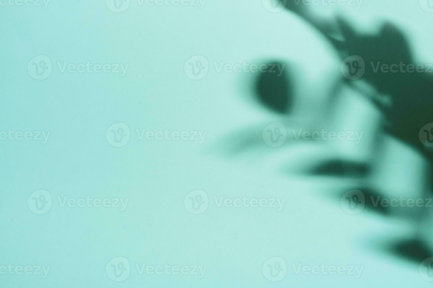 Natural leaves shadow on gradient paper background. Abstract blue and mint floral backdrop. Soft light photo