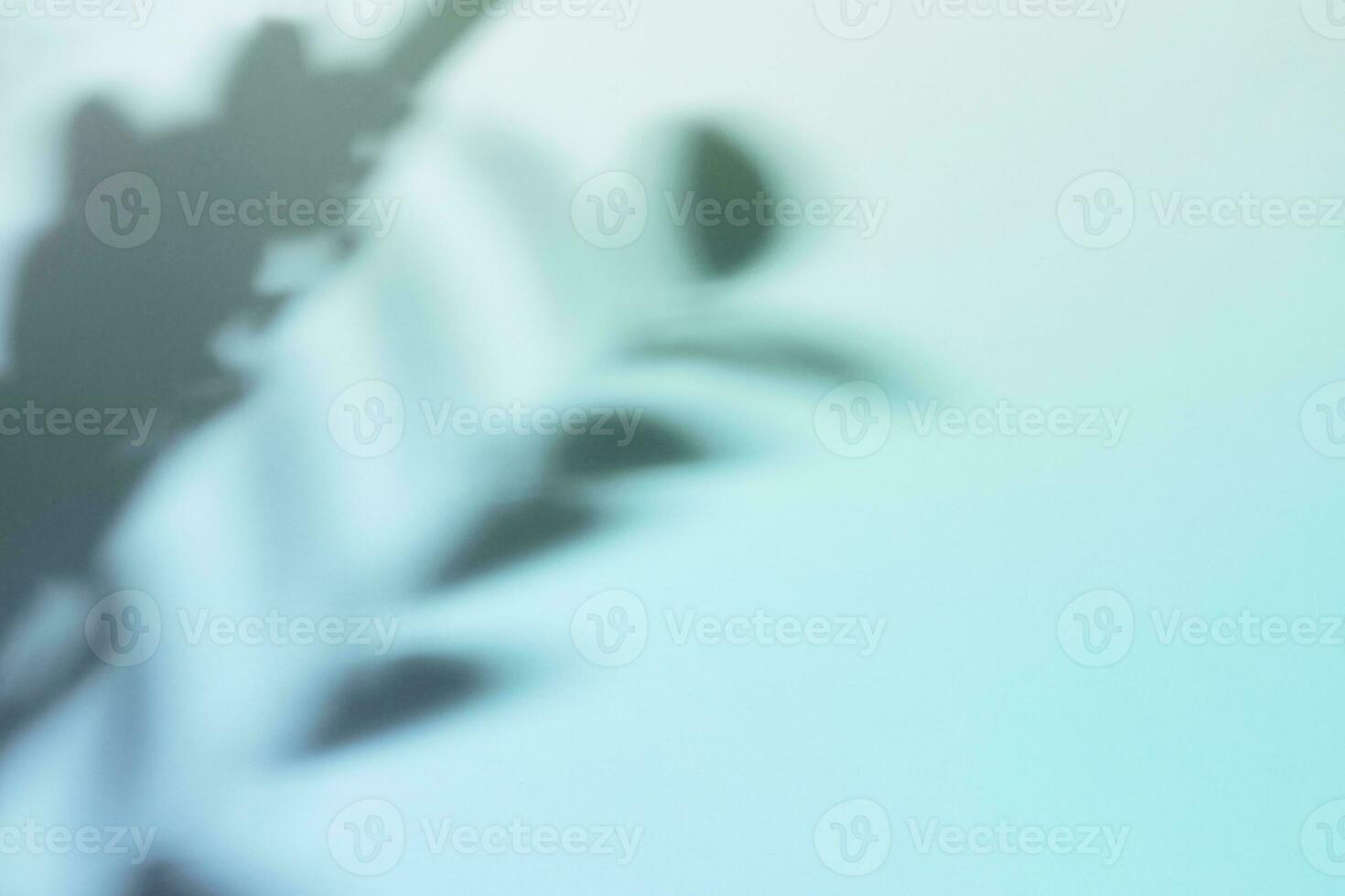 Natural leaves shadow on gradient paper background. Abstract blue and mint floral backdrop. Soft light photo