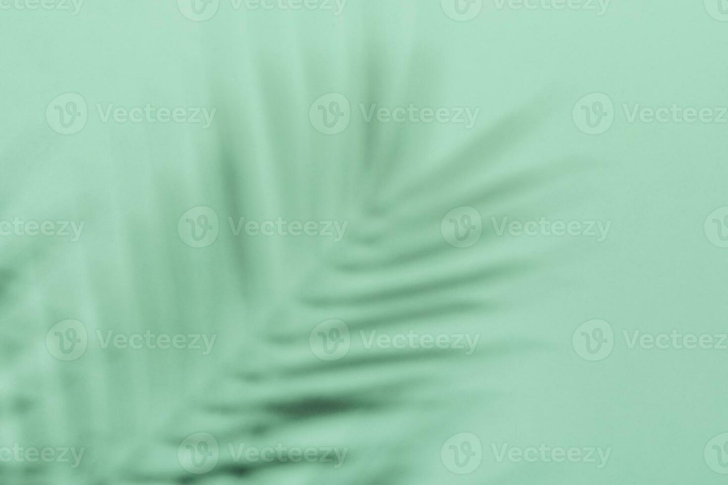 Natural palm leaves shadow on gradient paper background. Abstract blue and mint tropical backdrop. Soft light photo