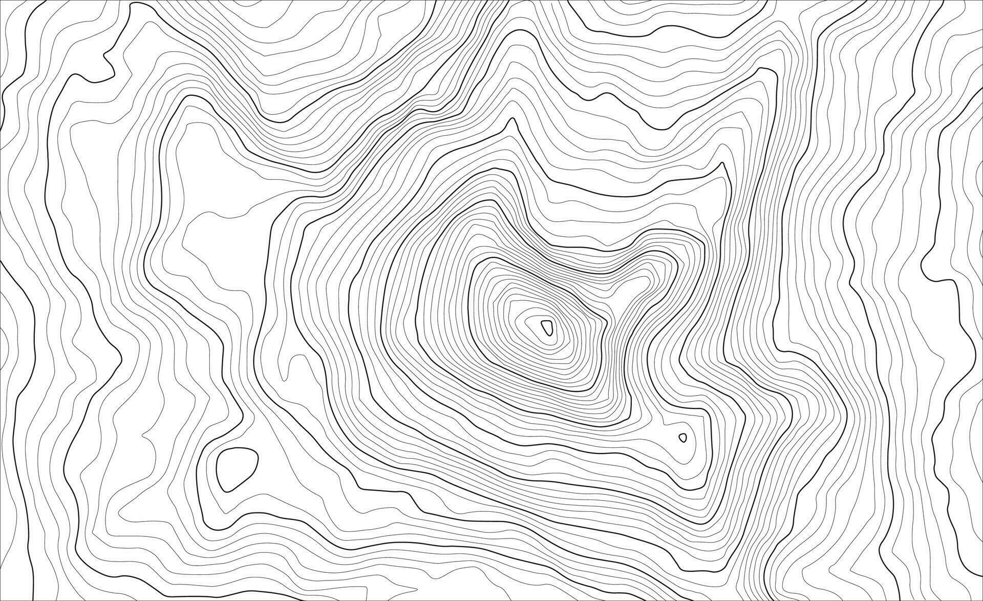 Background of the topographic map. Topo map with elevation. Geographic