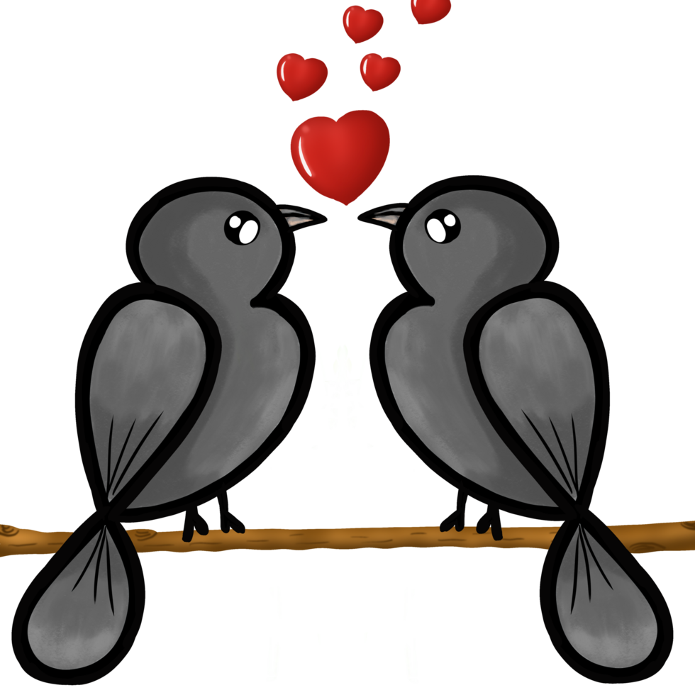 deux l'amour des oiseaux sur une branche png