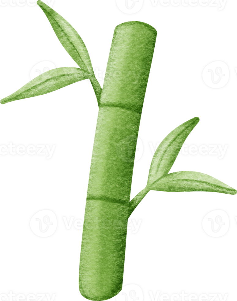 Chinese New Year bamboo tree png