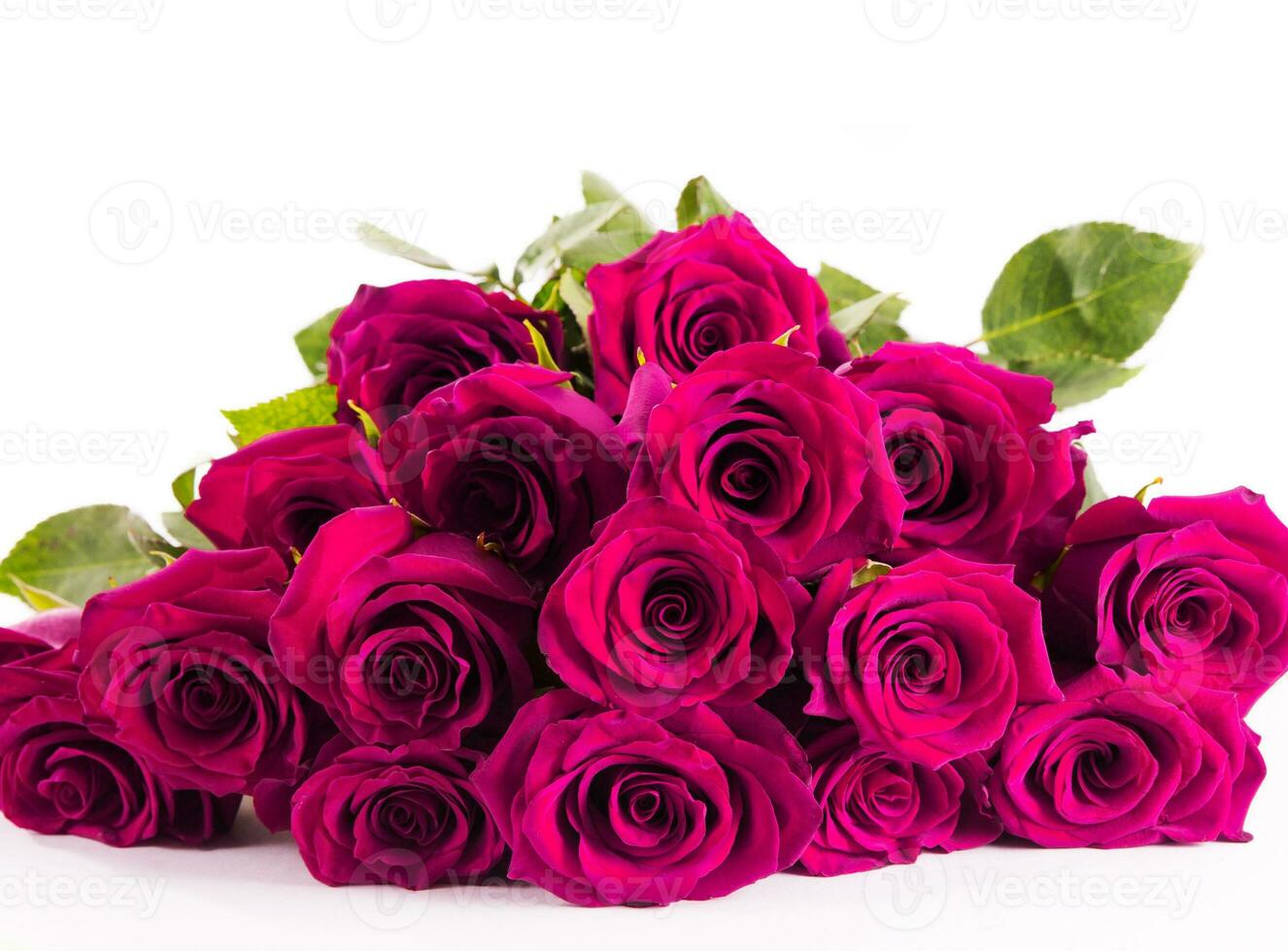 Bunch of pink roses on white photo