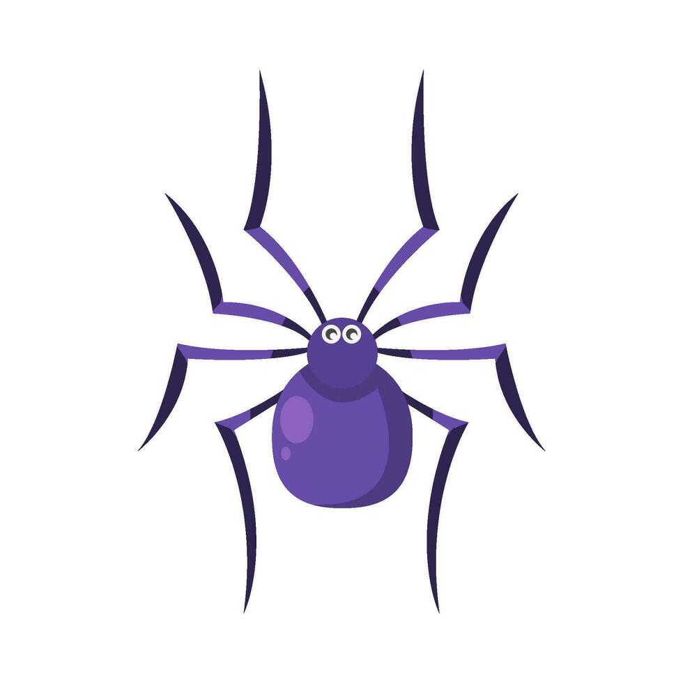 spider animal illustration vector