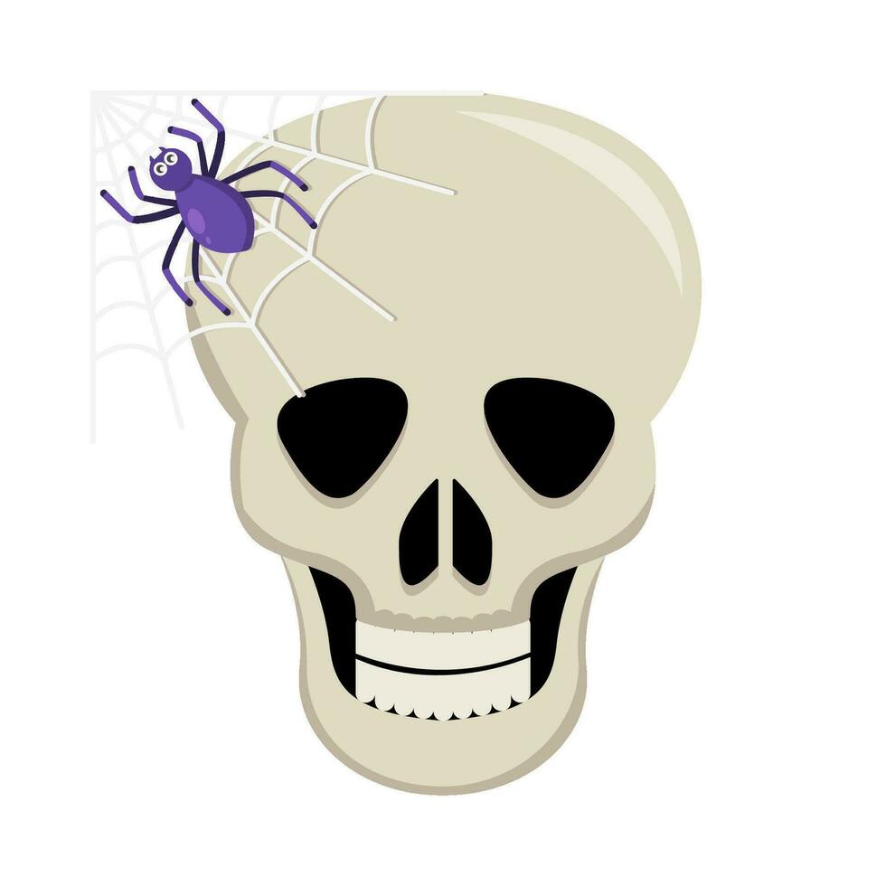 spider in spider web with in skull illustration vector