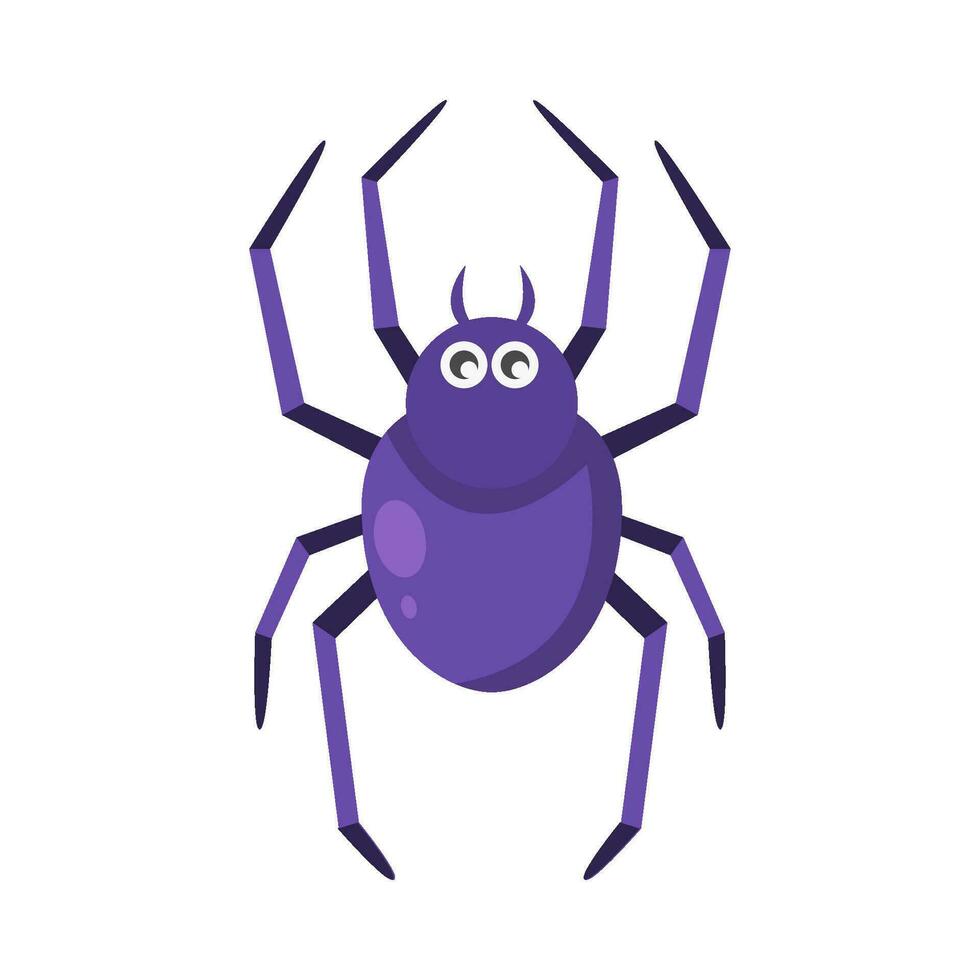 spider animal illustration vector