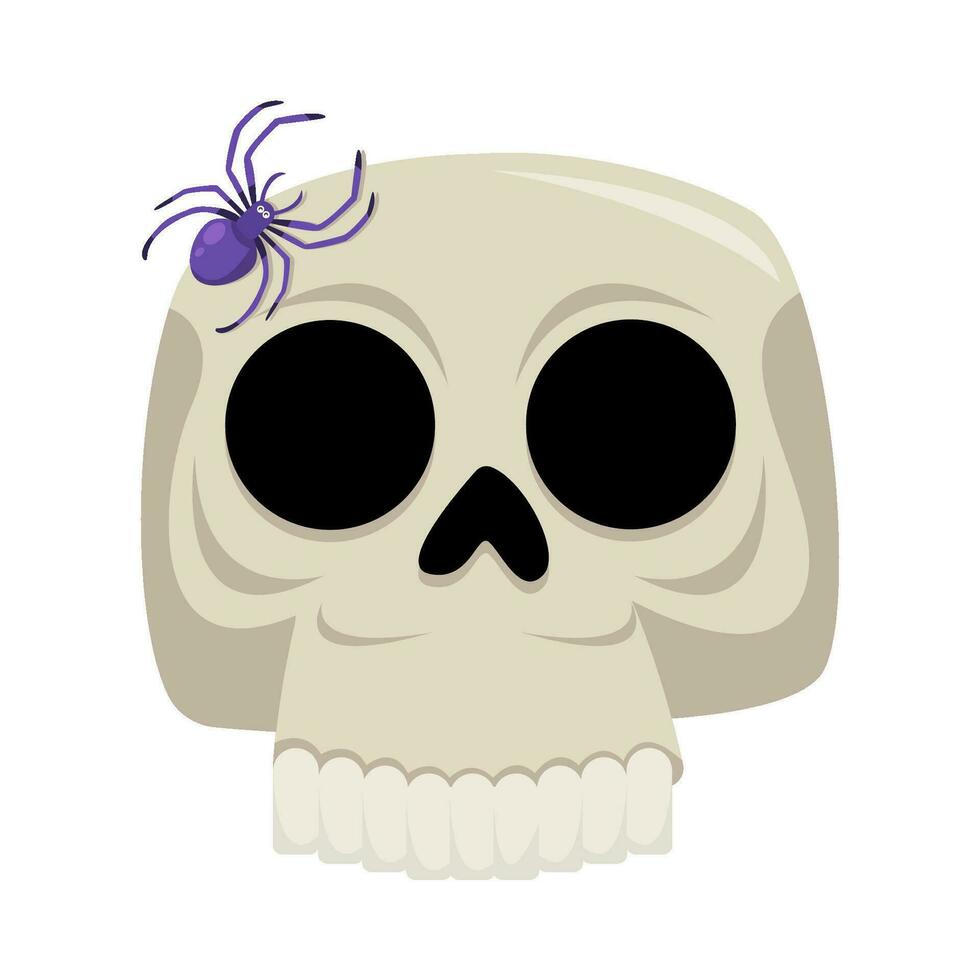 spider in skull illustration vector