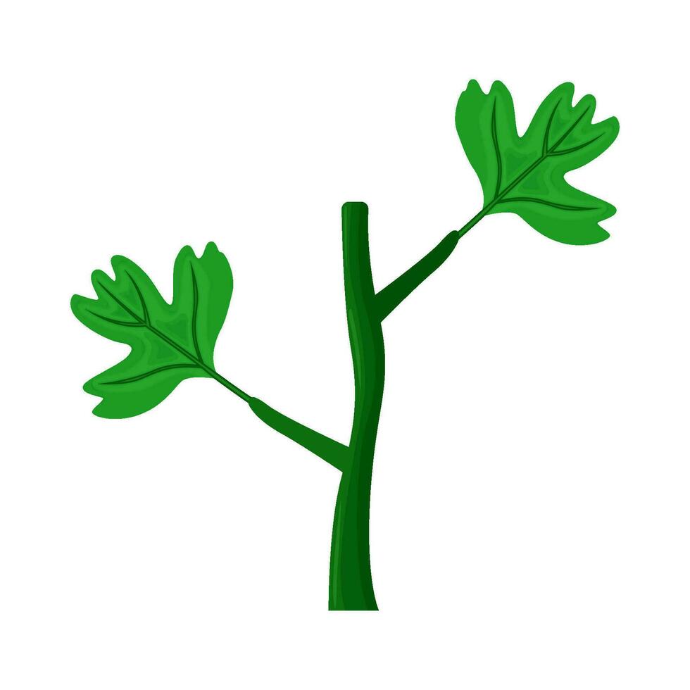 leaf green plant illustration vector