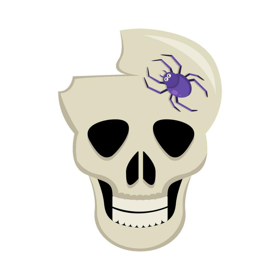 spider in skull illustration vector