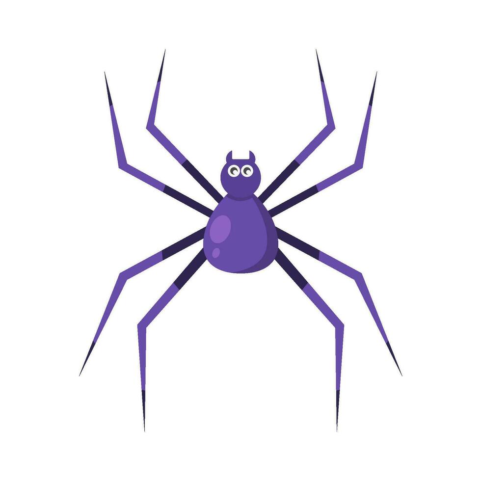 spider animal illustration vector