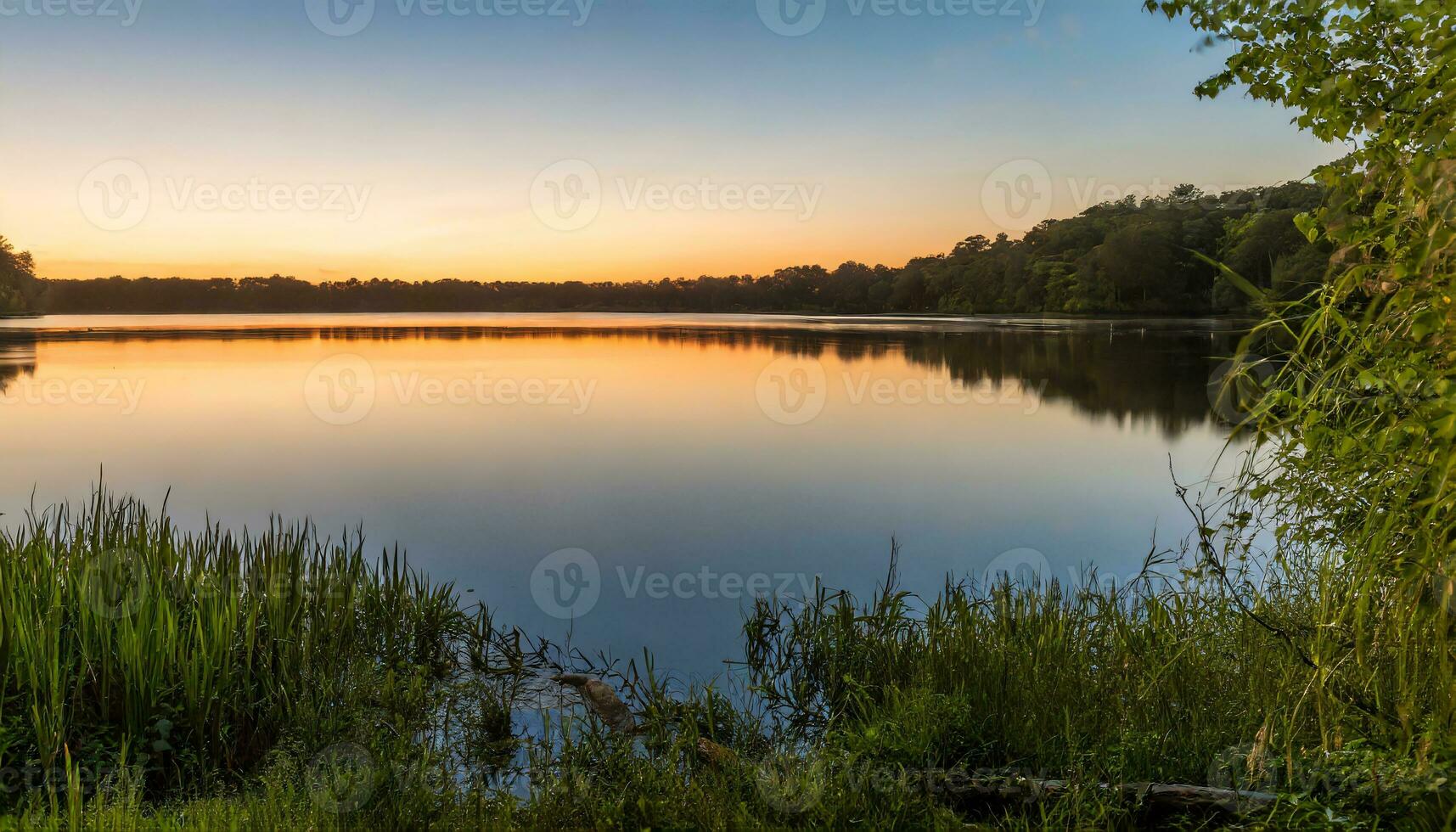 AI generated a lake at sunset with grass and trees photo