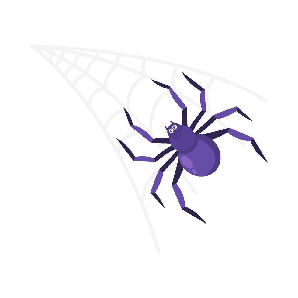 spider in spider web illustration vector