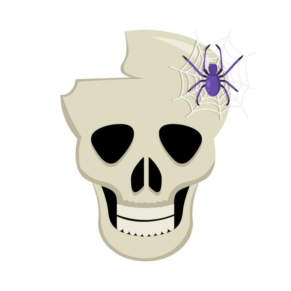 araña con araña web en cráneo ilustración vector