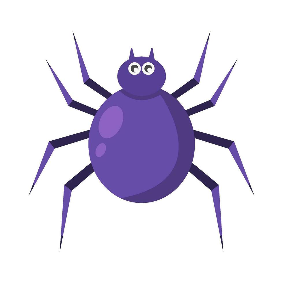 spider animal illustration vector