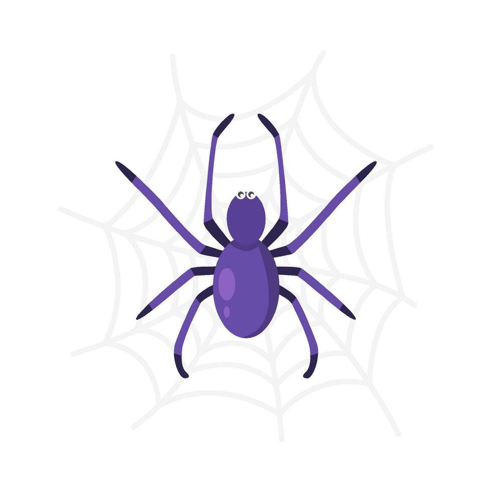 spider in spider web illustration vector