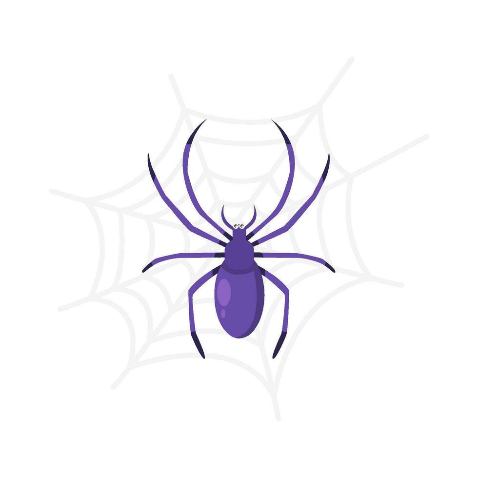 spider in spider web illustration vector